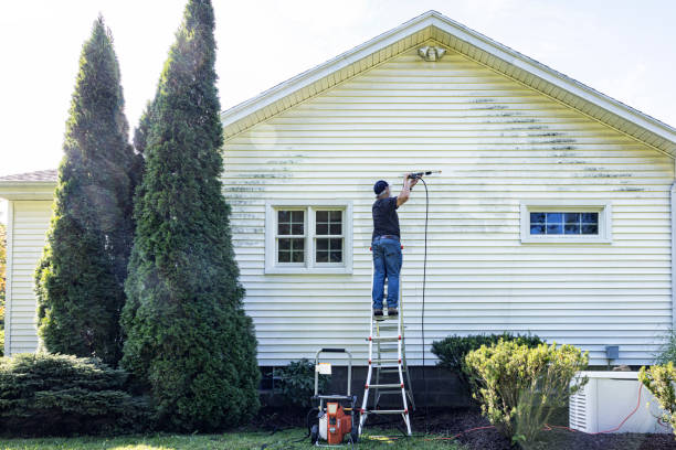 Best Gutter Cleaning and Brightening in De Soto, IA